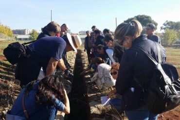 Concierto Ciclo Centenario Telefónica