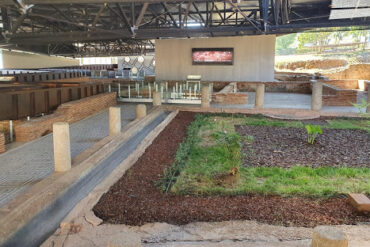 Visita guiada al Puente Romano