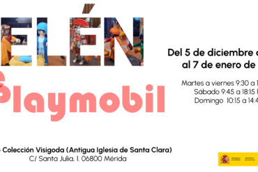 Programación del MNAR en Diciembre 2024