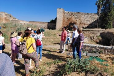Reapertura Museo Romano y Jornadas Europeas de Arqueología